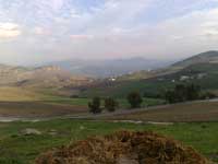 terreni